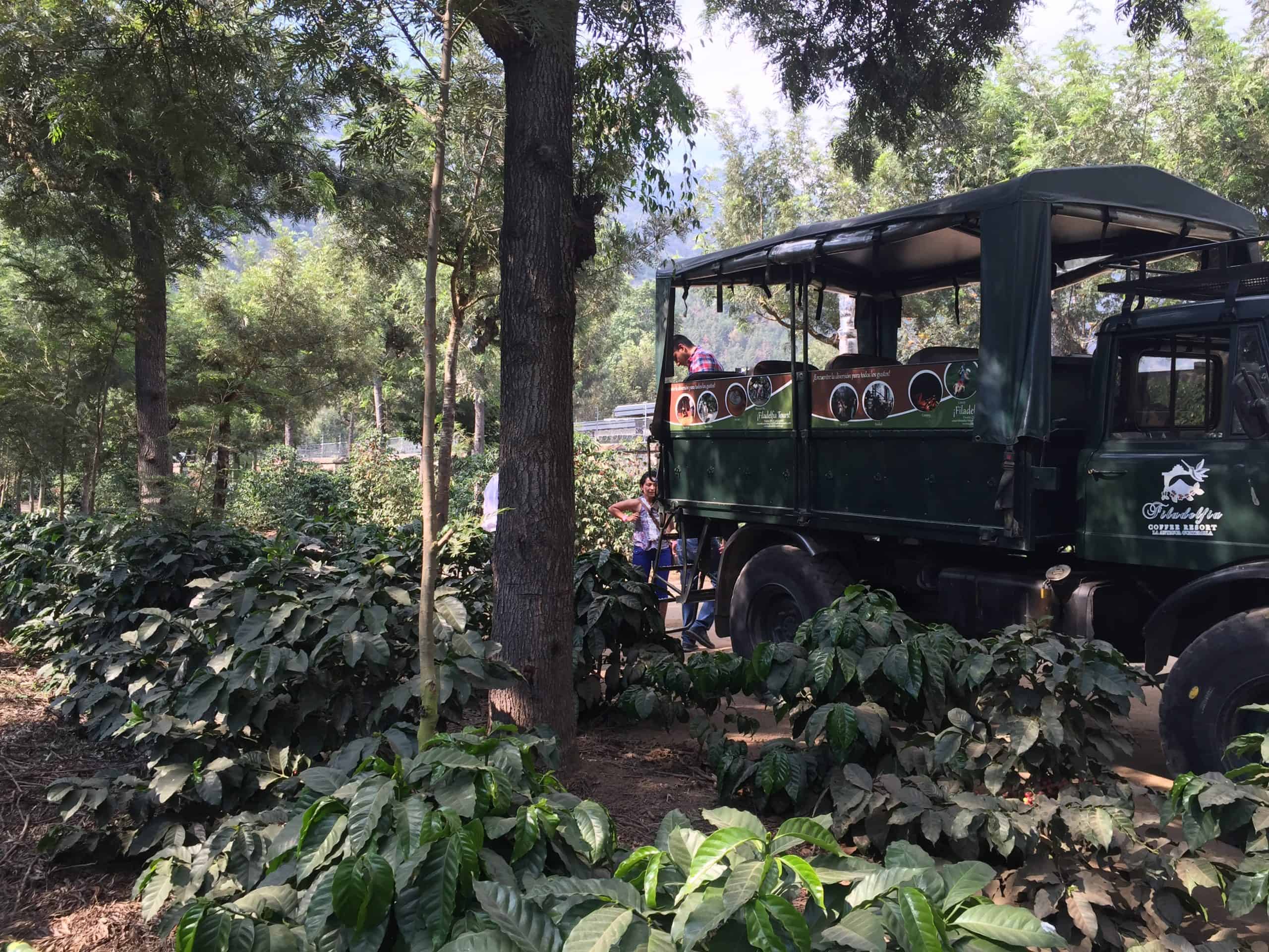 You are currently viewing The Scotties search for Arabica beans in Honduras